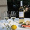 Sauvignon Colombard, PAYS D'OC IGP Blanc, Cave Coopérative La Fontésole - Les Vignerons de Fontès