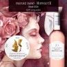 Prieuré Saint-Hippolyte rosé AOP Lg - Fontès cooperative cellar